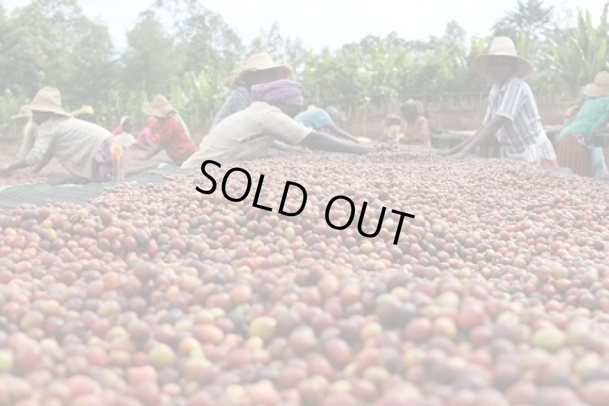 画像1: エチオピア 　4周年記念 　３００ｇ (1)