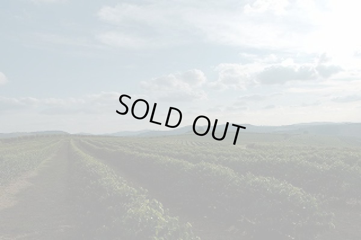 画像4: ブラジル150g　コロンビア150g　4周年セット (4)