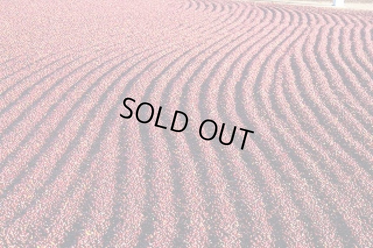 画像3: ブラジル150g　コロンビア150g　4周年セット (3)