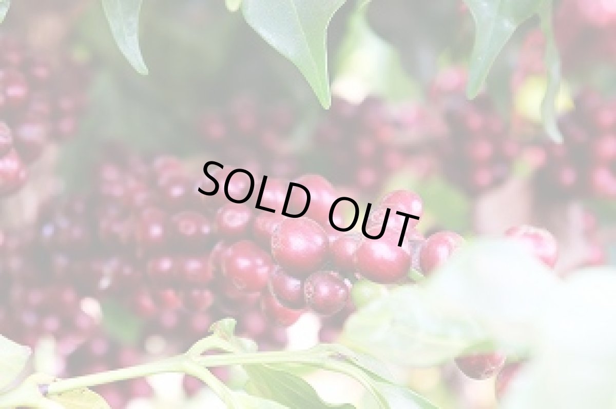 画像2: ブラジル150g　コロンビア150g　4周年セット (2)